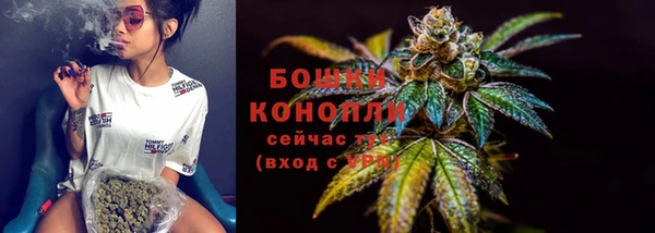 а пвп мука Бородино